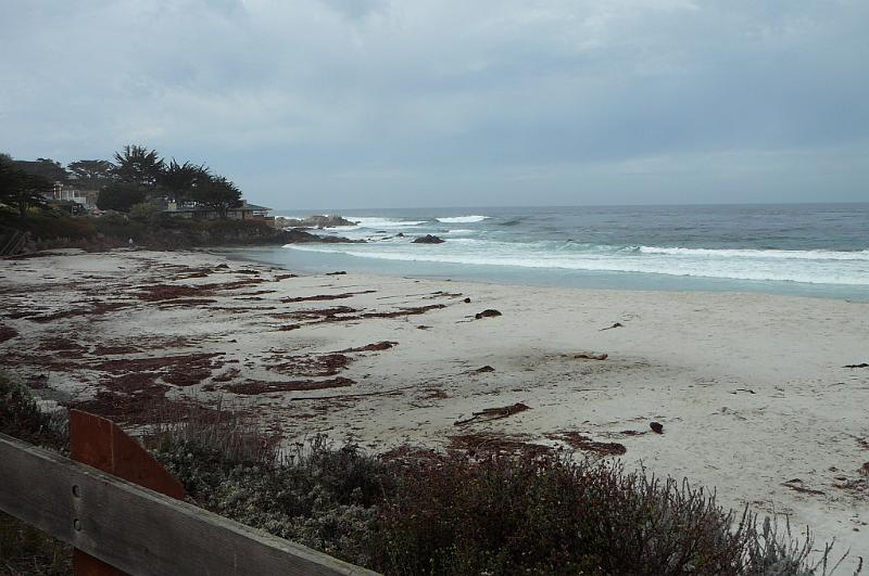 Carmel 10-30-08 235.jpg